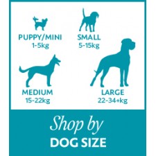 Shop by Dog Size (36)